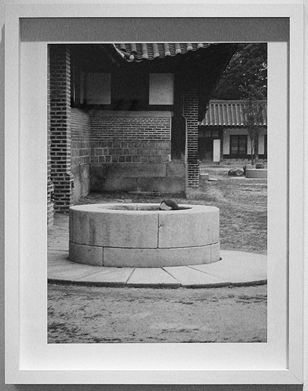 Parker: Frog in the Well