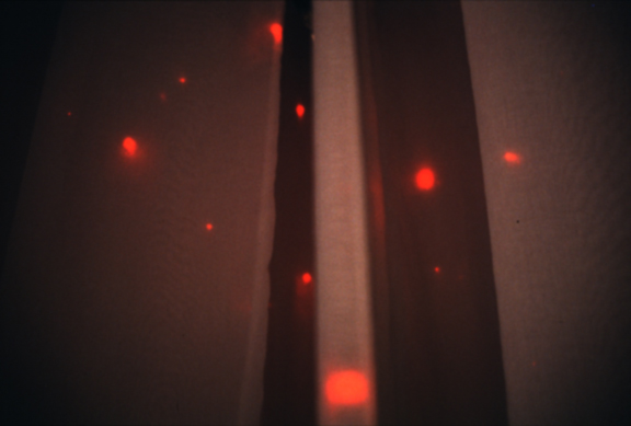 Parker + Nishizawa: untitled