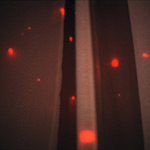 Parker + Nishizawa: untitled